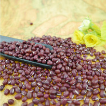 Chinese small red bean with competitive price